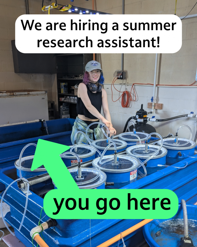 We are hiring a summer research assistant!